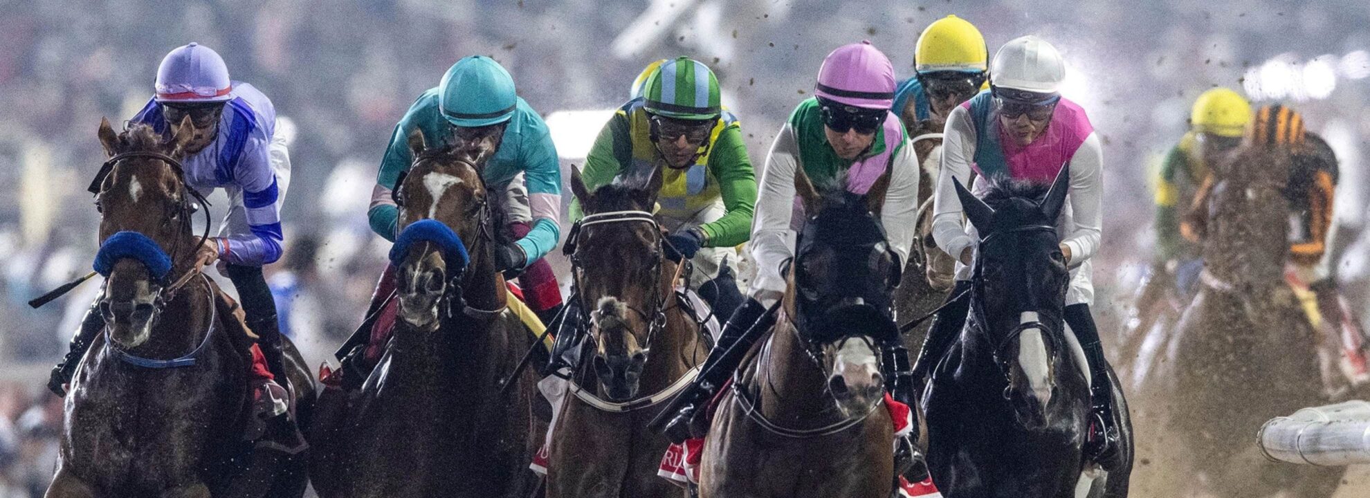 Emirates Racing Authority | jfd