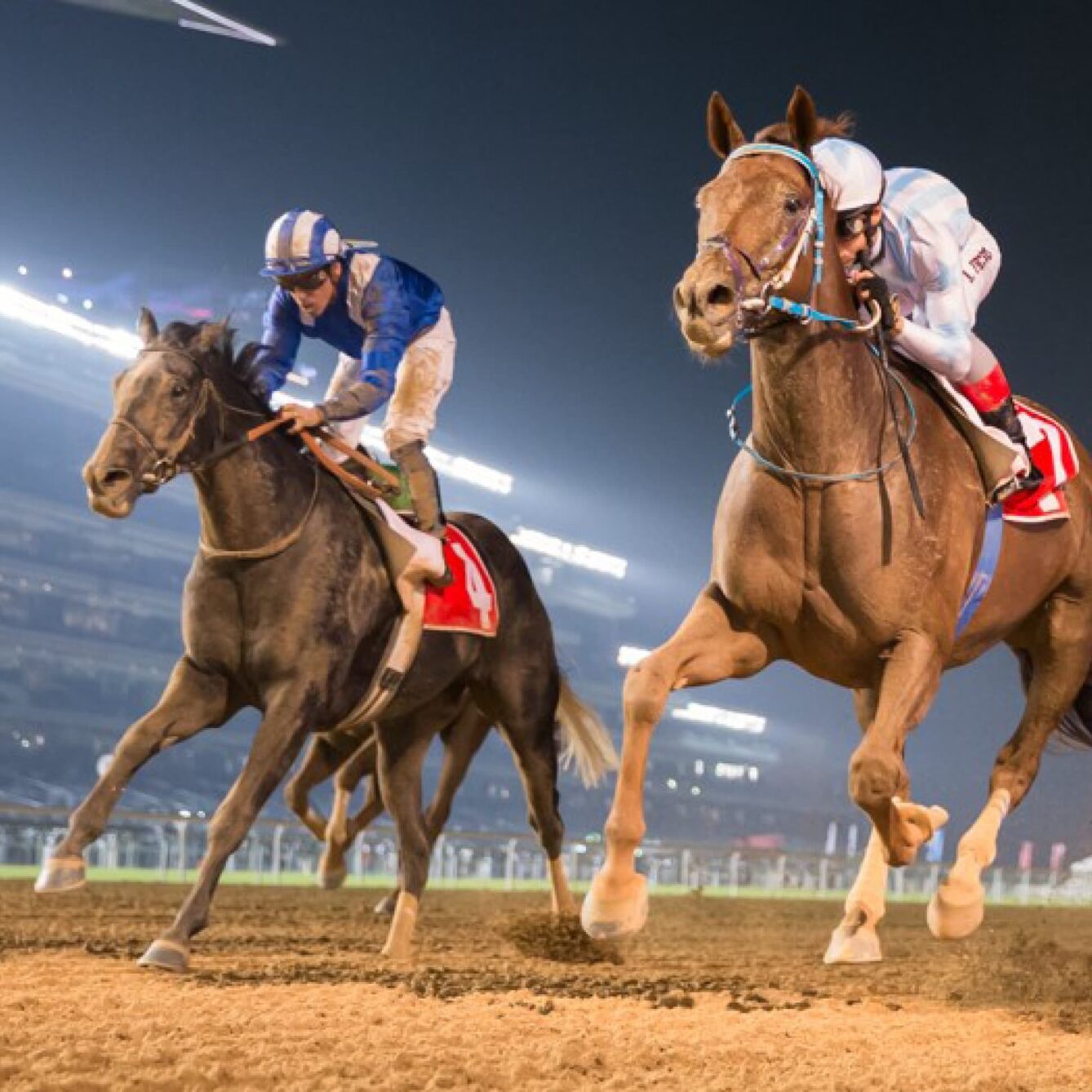 Emirates Racing Authority | Website & App | Case Study | jfd
