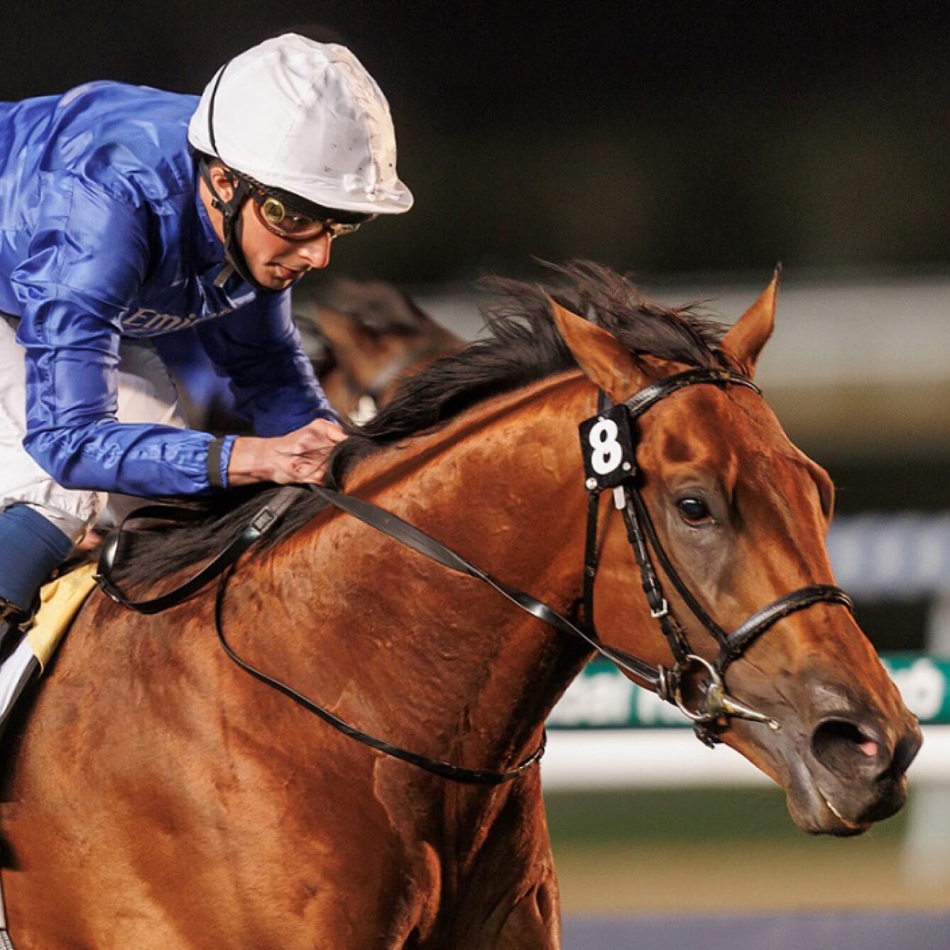 Emirates Racing Authority | Website & App | Case Study | jfd